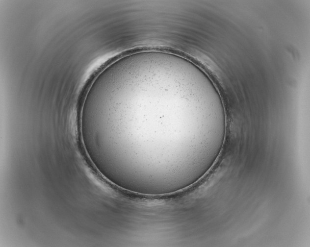 X0000115151030200911101725