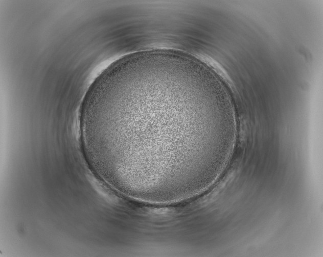 X0000115151031200911101725