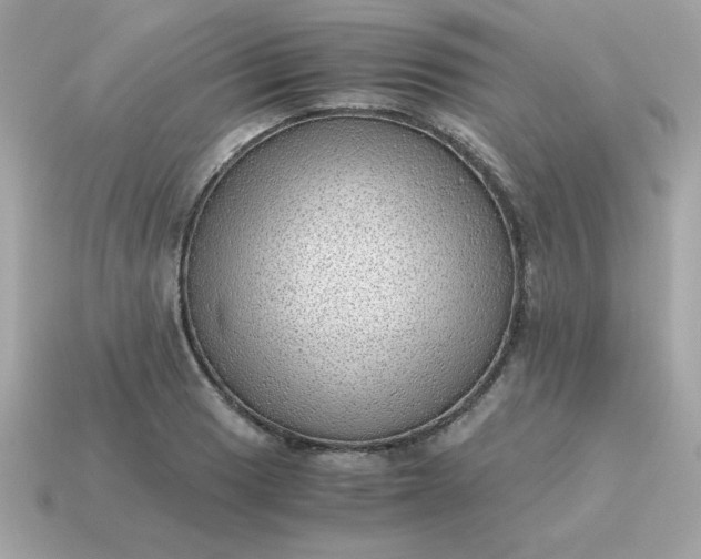 X0000115151033200911101725
