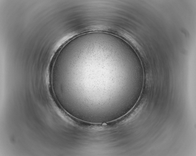 X0000115151034200911101725