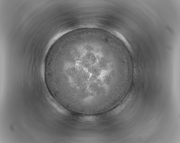 X0000115151035200911101725