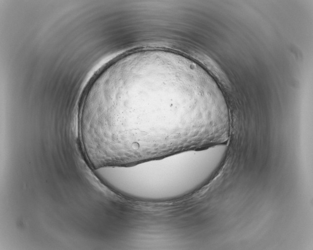 X0000115151036200911101725