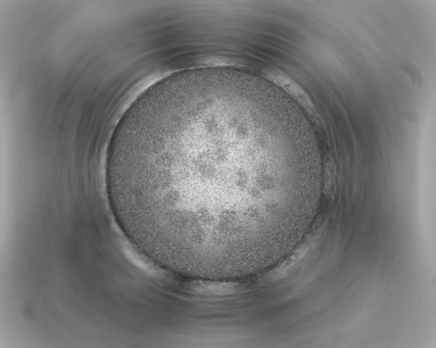 X0000115151039200911101725