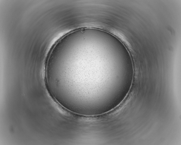 X0000115151040200911101725