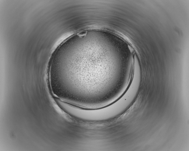 X0000115151042200911101725