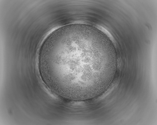 X0000115151043200911101725