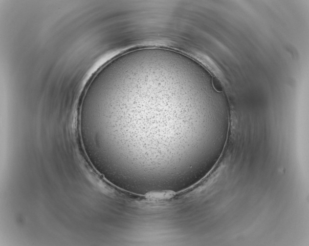 X0000115151044200911101725