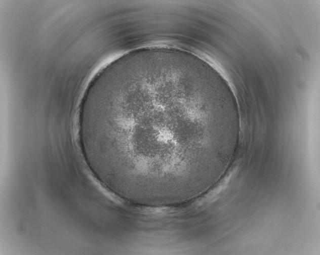 X0000115151045200911101725