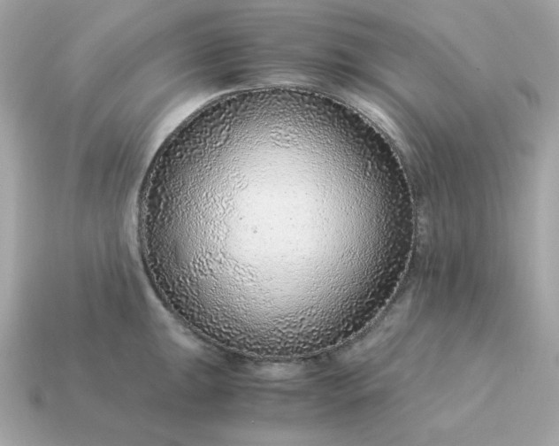 X0000115151047200911101725