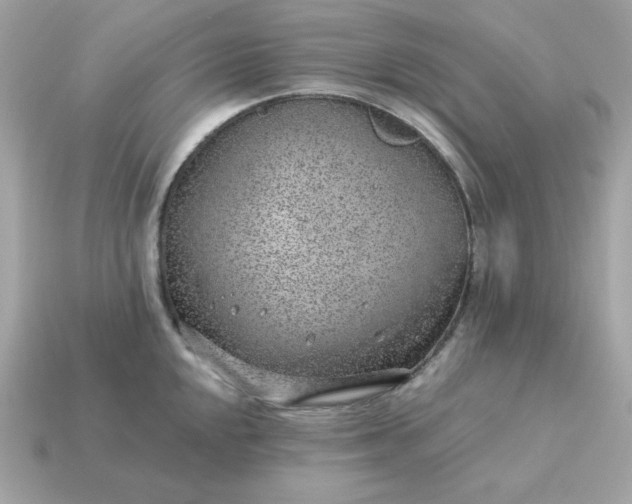 X0000115151048200911101725