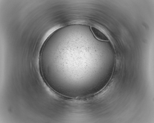 X0000115151050200911101725