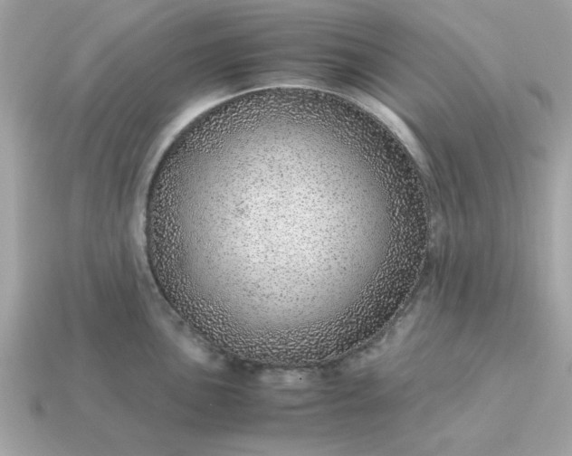 X0000115151051200911101725