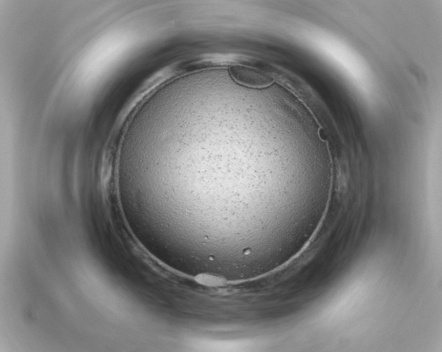 X0000115151052200911101725