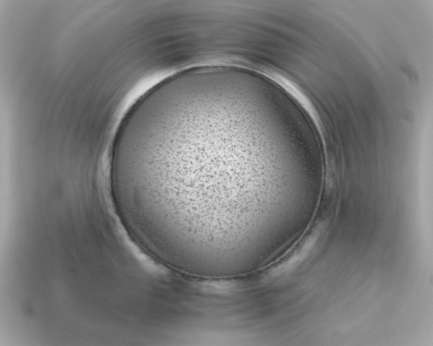 X0000115151053200911101725