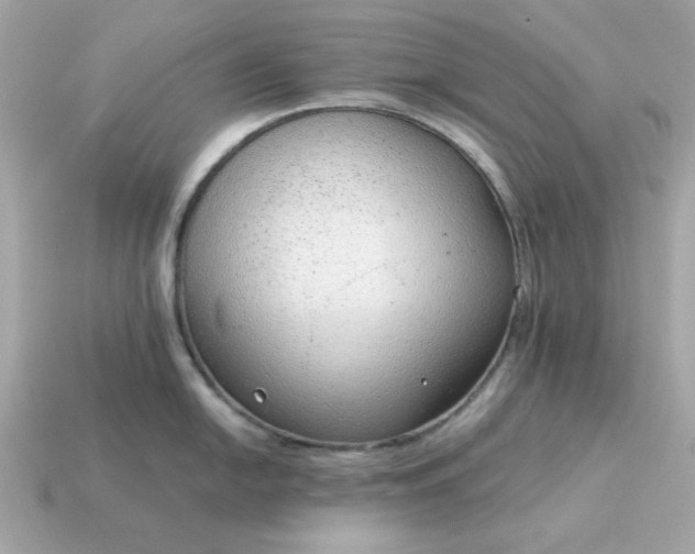 X0000115151054200911101725