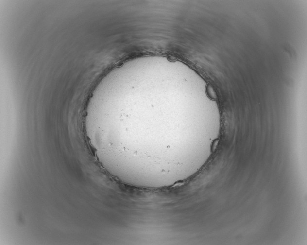 X0000115151057200911101724