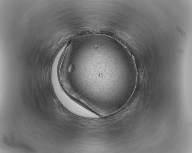 X0000115151060200911101724
