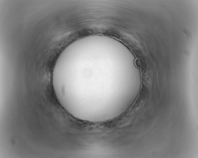 X0000115151061200911101724