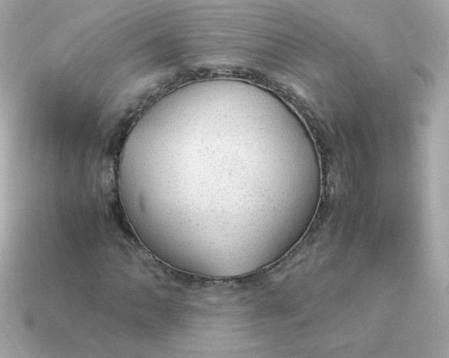 X0000115151062200911101724