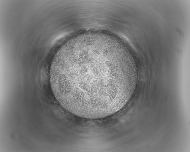 X0000115151063200911101724