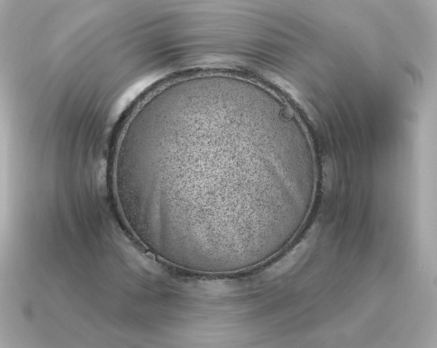 X0000115151066200911101724