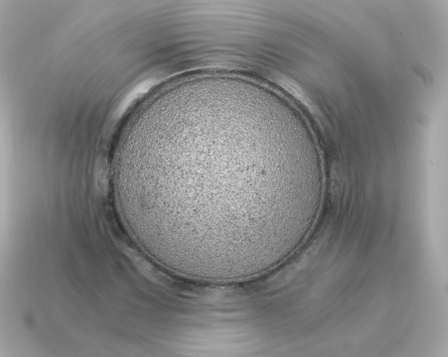 X0000115151067200911101724