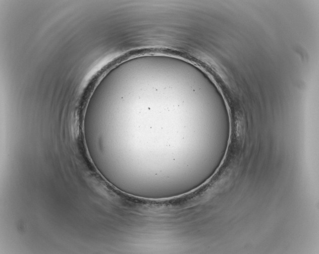X0000115151069200911101724
