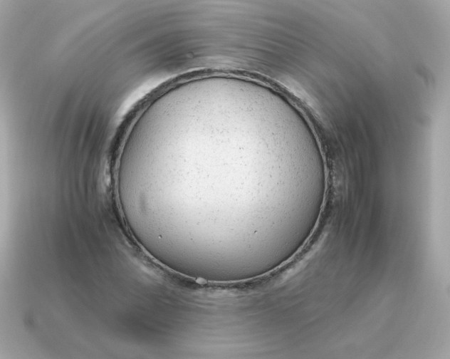 X0000115151070200911101724