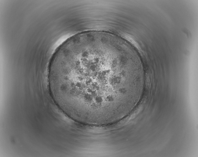 X0000115151071200911101724