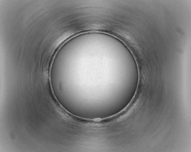 X0000115151073200911101724