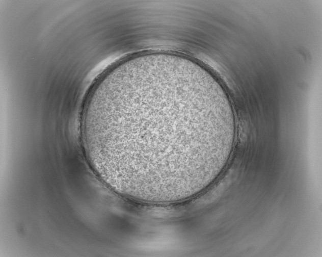 X0000115151074200911101724
