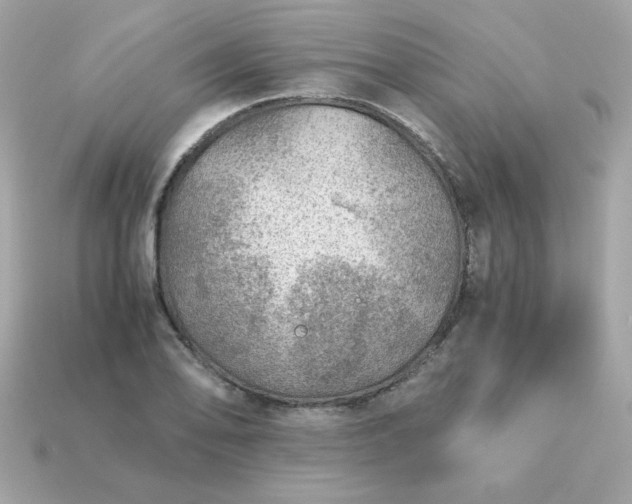 X0000115151078200911101724