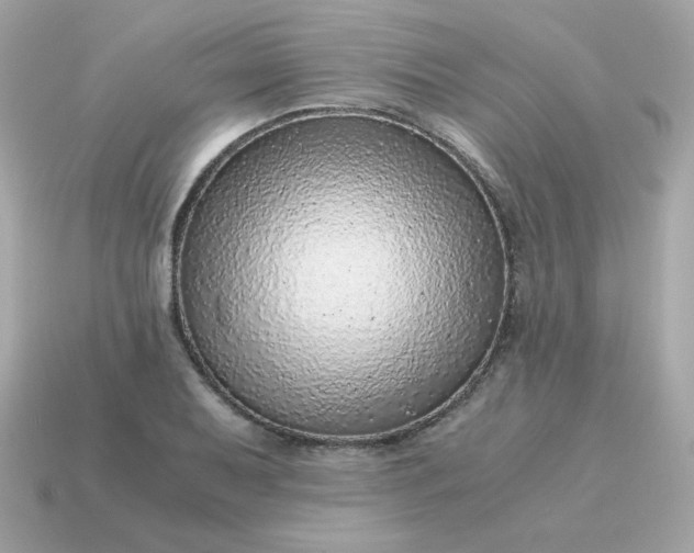 X0000115151079200911101724