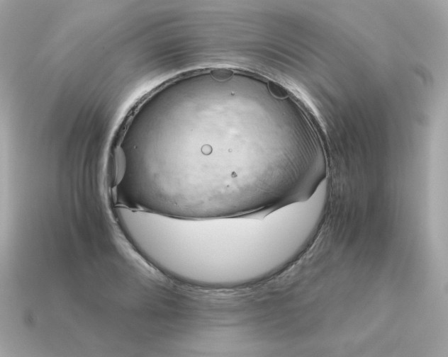 X0000115151080200911101724