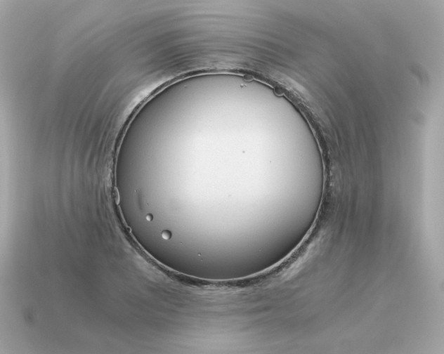 X0000115151081200911101724