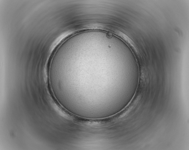 X0000115151082200911101724