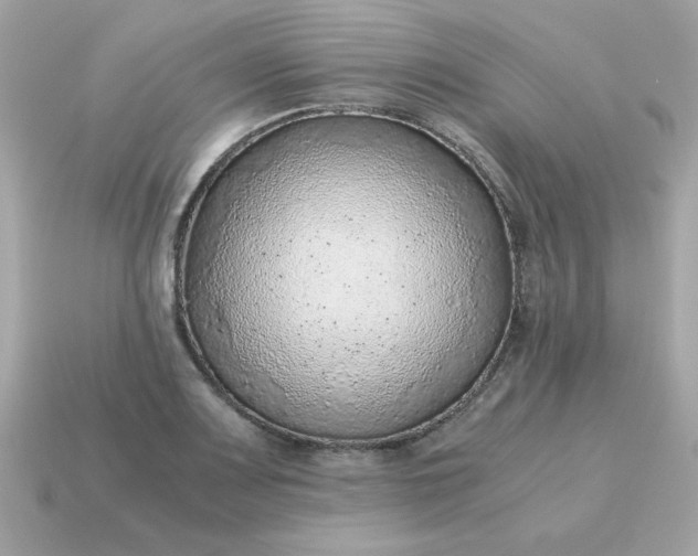 X0000115151083200911101724