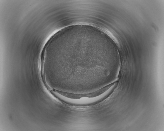 X0000115151084200911101724