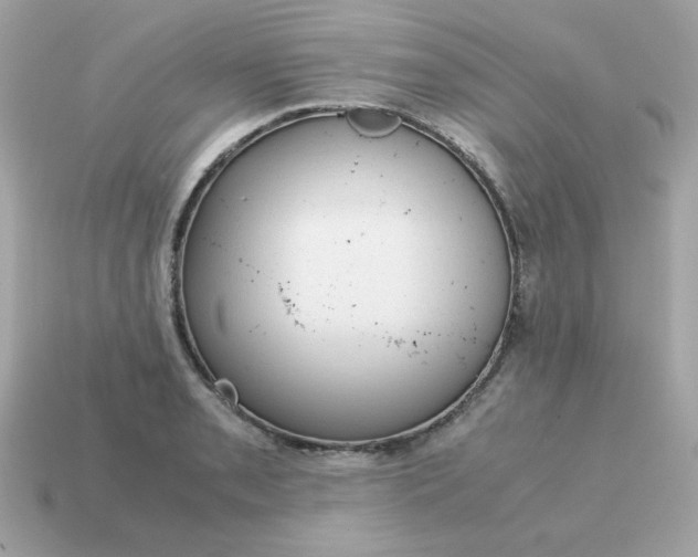 X0000115151085200911101724