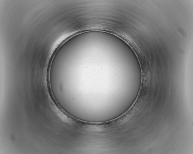 X0000115151086200911101724