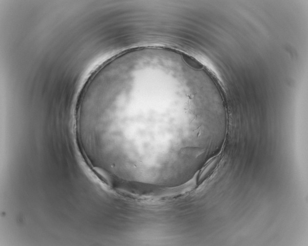 X0000115151088200911101724