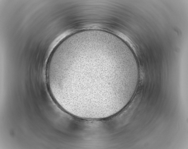 X0000115151090200911101724