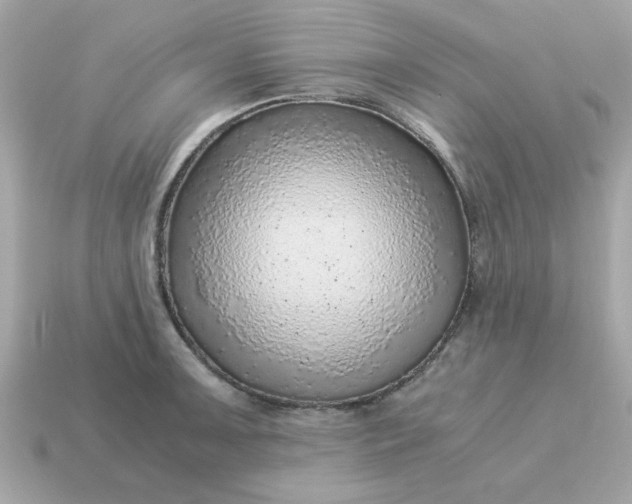 X0000115151091200911101724