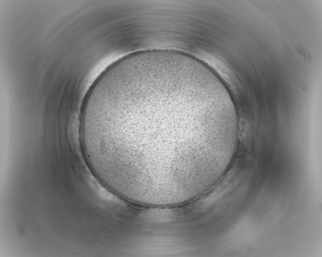 X0000115151094200911101724