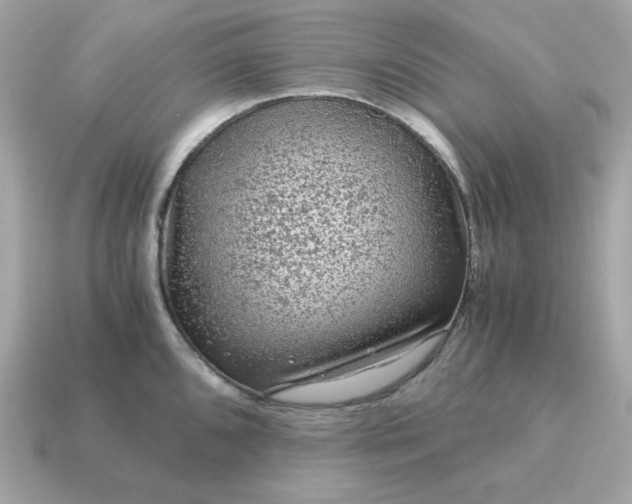 X0000115151096200911101724