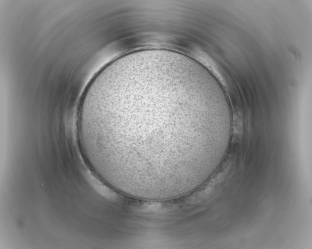 X0000115151098200911101724