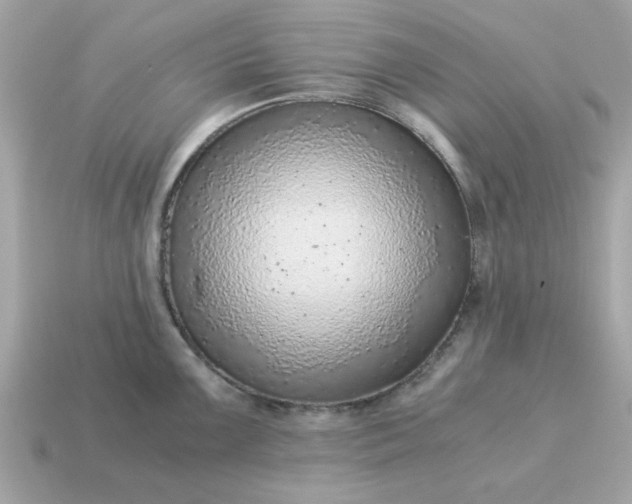 X0000115151099200911101724