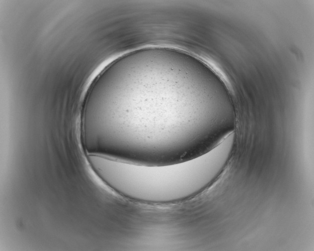 X0000115151100200911101724