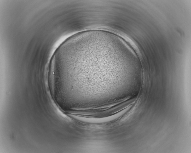 X0000115151102200911101724