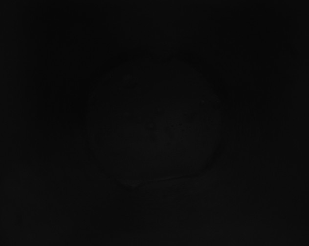X0000115151105200911101723